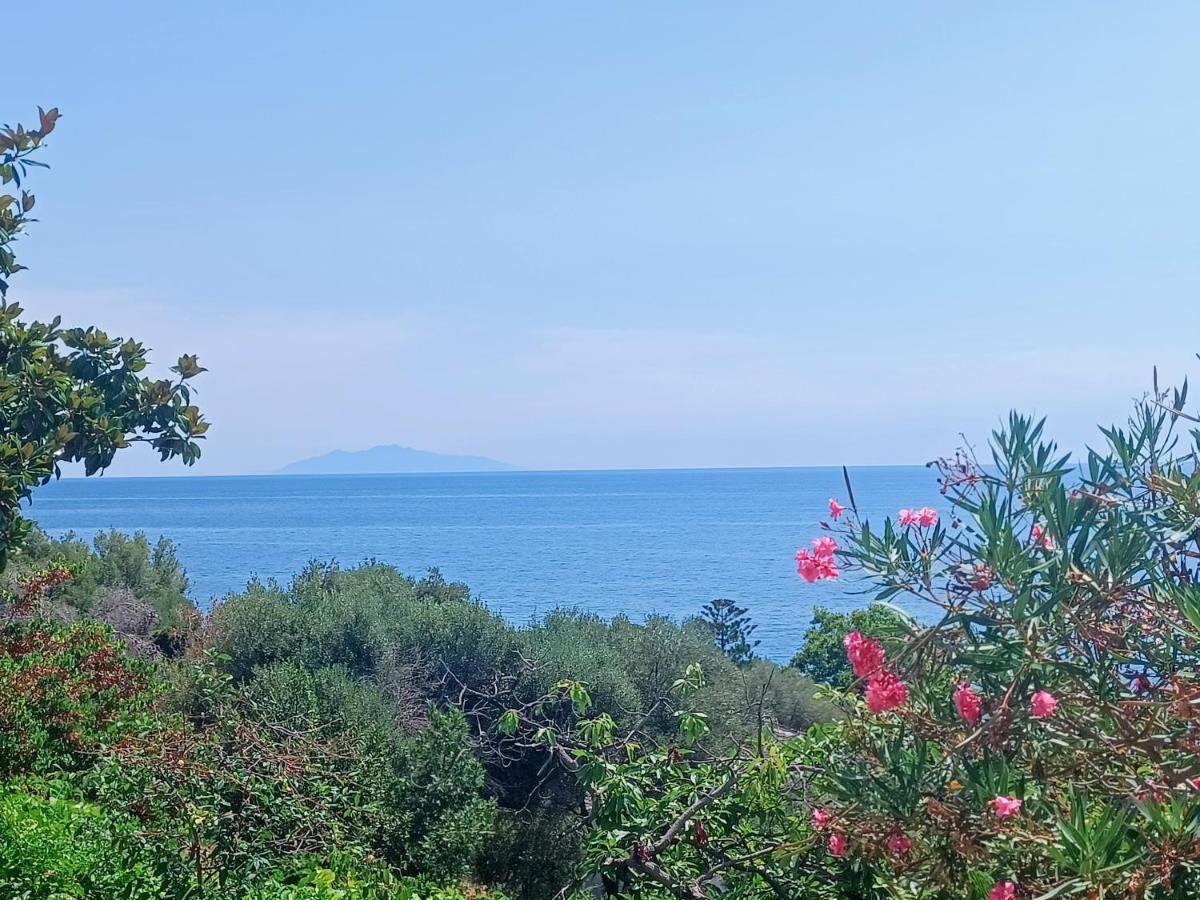 Villa Magnolia Santa-Maria-di-Lota Экстерьер фото